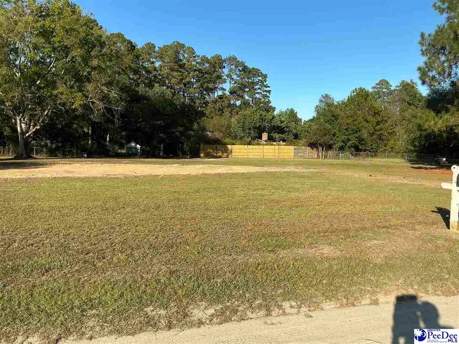 120 Danny Dr., Marion, SC 29571 - #2
