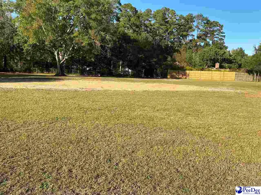 120 Danny Dr., Marion, SC 29571 - #3