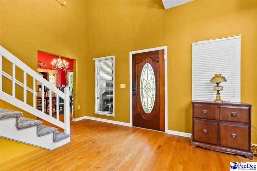 467 Cane Mill Crossing Rd, Patrick, SC 29584 - #3