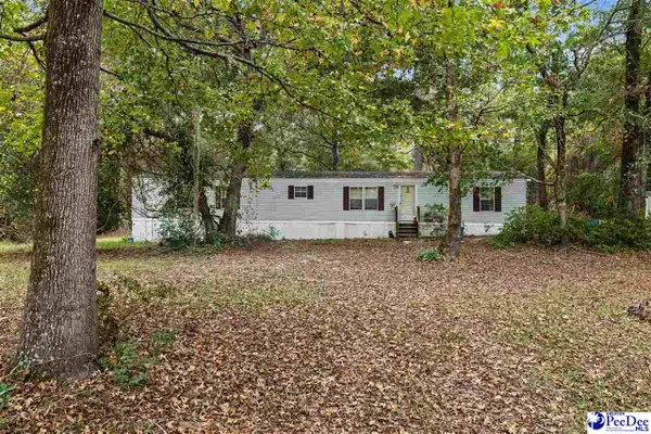 1068 Old River Road, Fork, SC 29543