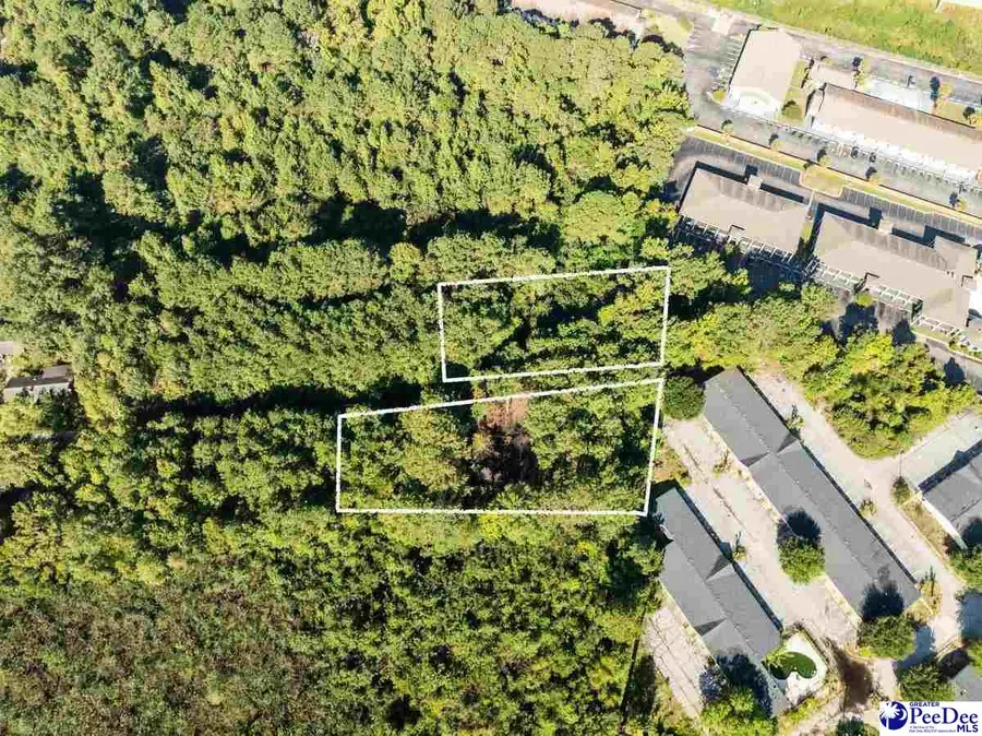 1527 & 1528 Davis Rd, Florence, SC 29501-6900 - #2