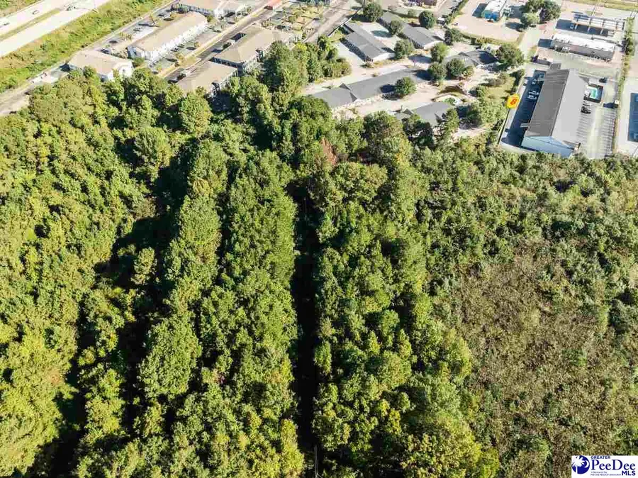 1527 & 1528 Davis Rd, Florence, SC 29501-6900 - #3