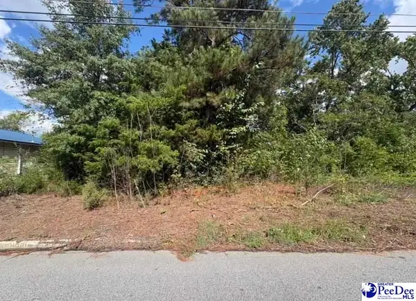3009 S Durant, Lakecity, SC 29560