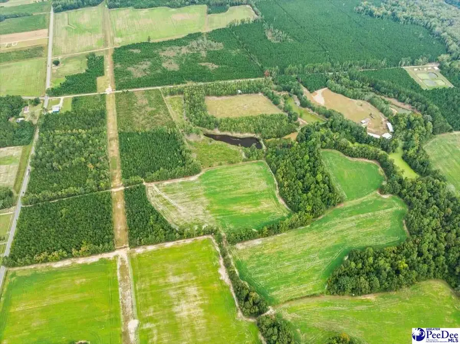 TBD Evans Farm Rd Tract 1, Pamplico, SC 29583 - #3