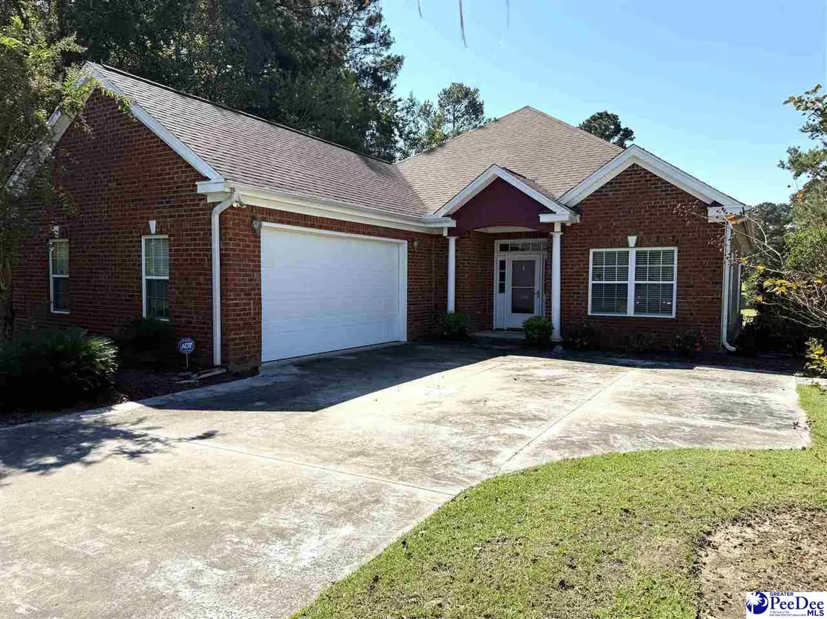 506 Mingo Trail, Johnsonville, SC 29555 - #1