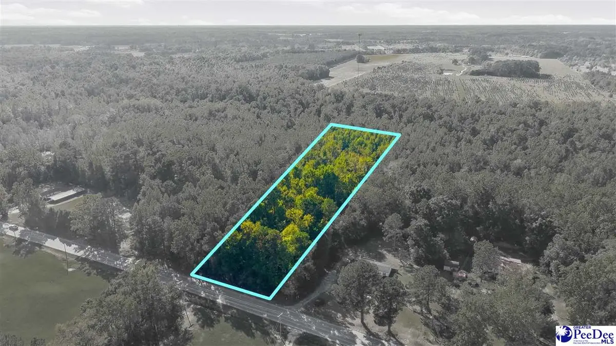 TBD W Us 501 South, Latta, SC 29565 - #1