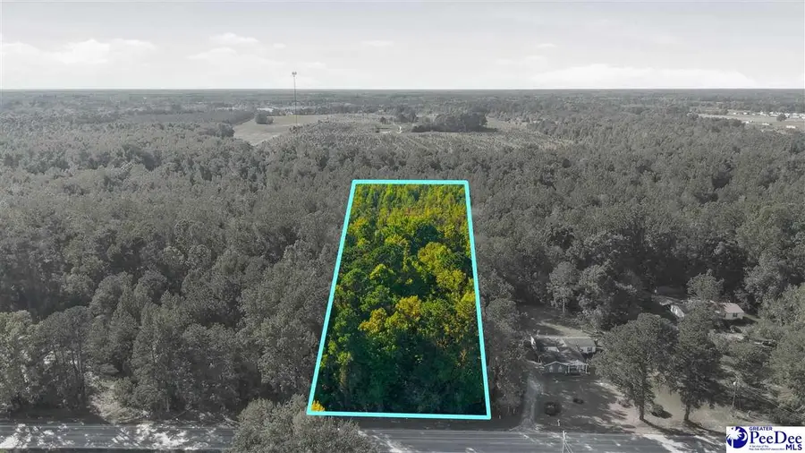 TBD W Us 501 South, Latta, SC 29565 - #3
