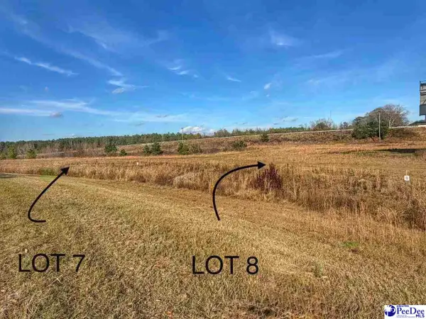 Lot 7 Mallory Beach Road, Latta, SC 29565