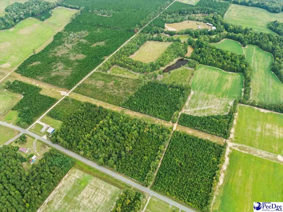 TBD Evns Farm Rd Tract 2, Pamplico, SC 29583 - #1