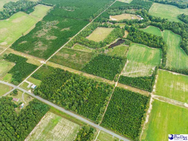 TBD Evns Farm Rd Tract 2, Pamplico, SC 29583