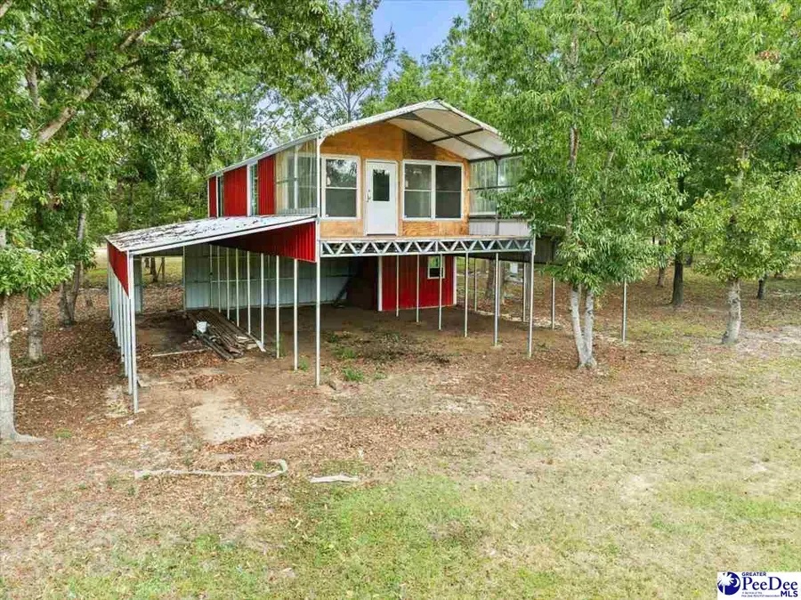 TBD Evns Farm Rd Tract 2, Pamplico, SC 29583 - #2