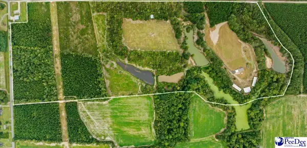 TBD Evans Farm Rd Tract 4, Pamplico, SC 29583