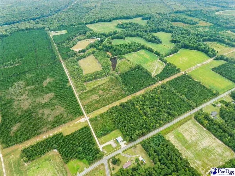 TBD Evans Farm Rd Tract 4, Pamplico, SC 29583 - #3