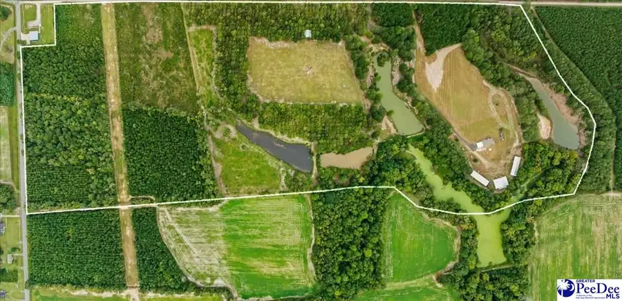 TBD Evans Farm Rd Tract 5, Pamplico, SC 29583 - #2