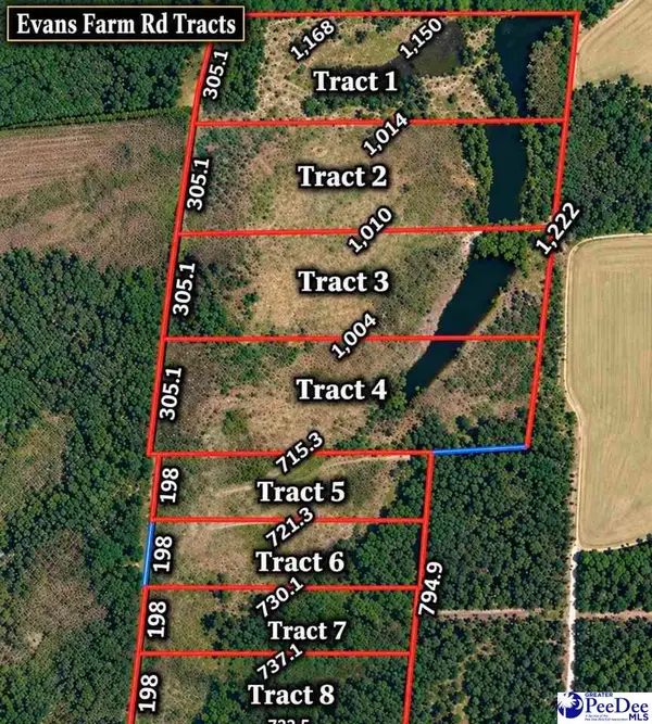 TBD Evans Farm Rd Tract 6, Pamplico, SC 29583