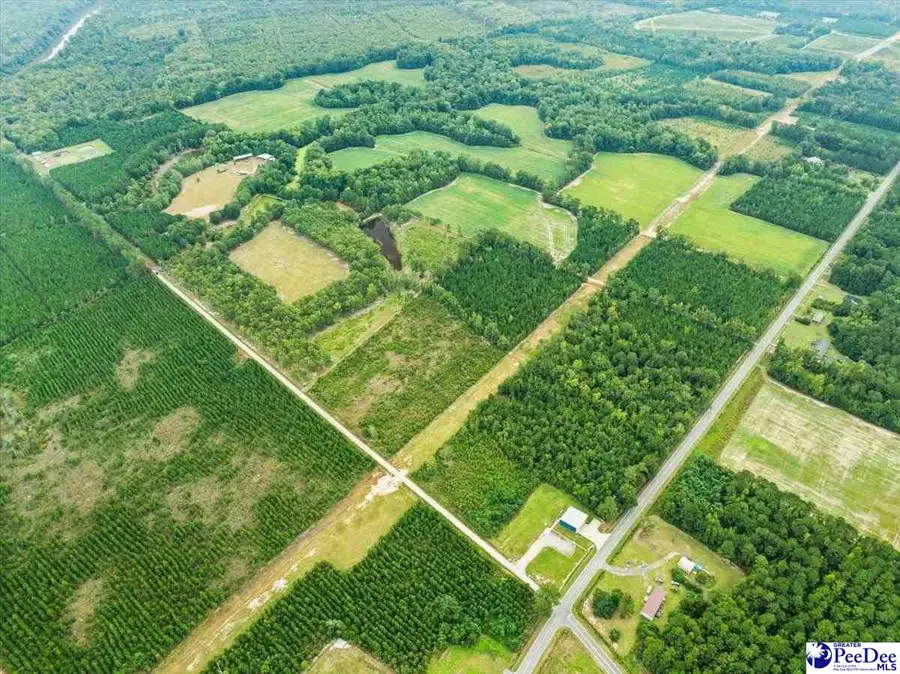 TBD Evans Farm Rd Tract 7, Pamplico, SC 29583 - #3