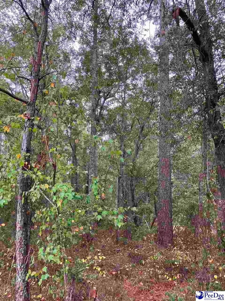 TBD Ruth Ct, Mullins, SC 29574 - #3