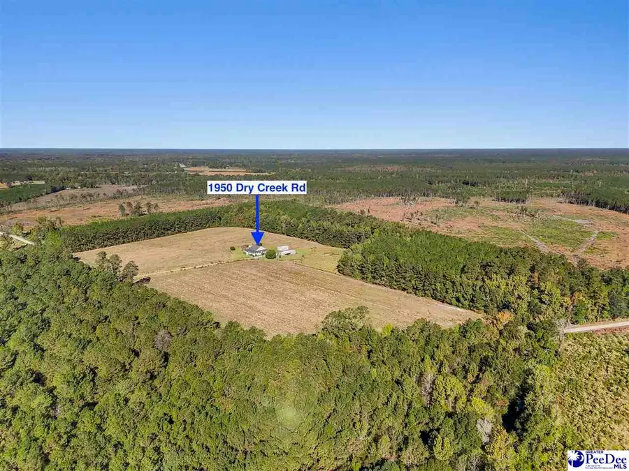 1950 Dry Creek Rd, Pamplico, SC 29583 - #2