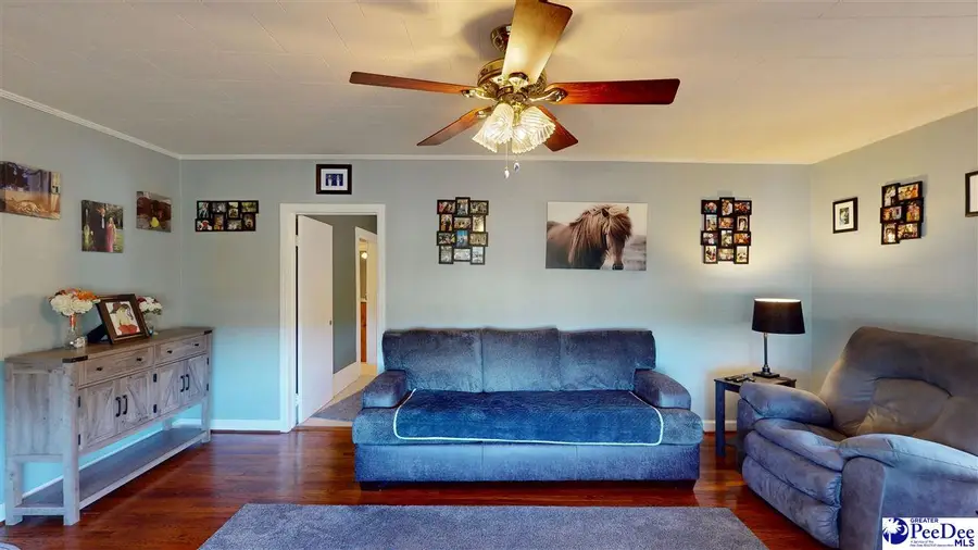 213 Newman Swamp Rd, Lamar, SC 29069 - #3