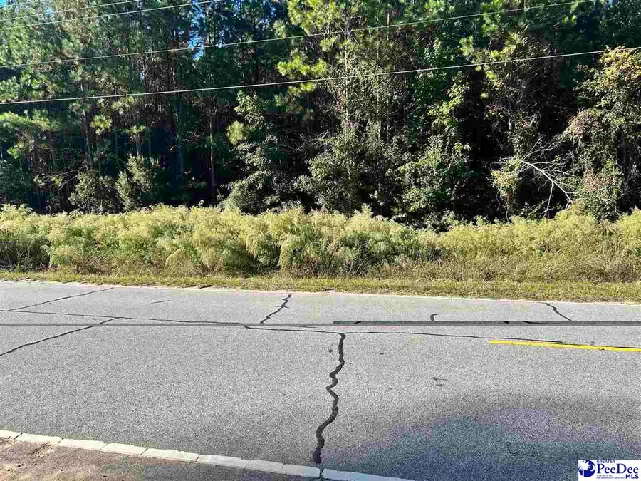 TBD lot 1 New Market Rd, Hartsville, SC 29550-0000 - #2