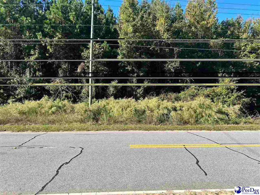TBD lot 2 New Market Rd, Hartsville, SC 29550-0000 - #2