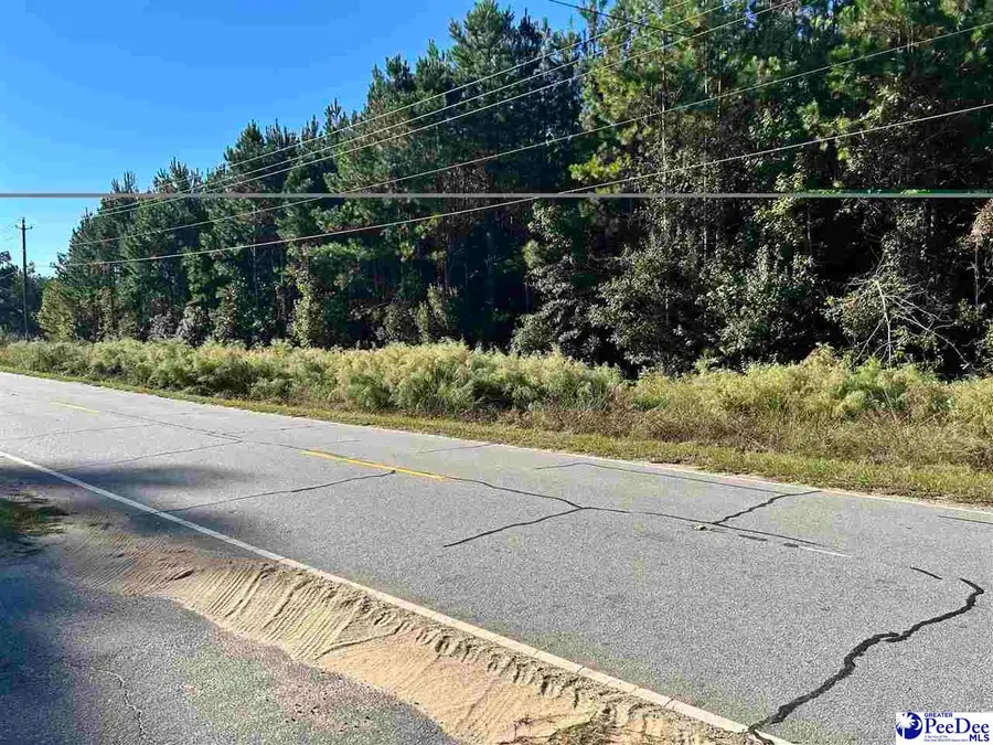TBD lot 2 New Market Rd, Hartsville, SC 29550-0000 - #3