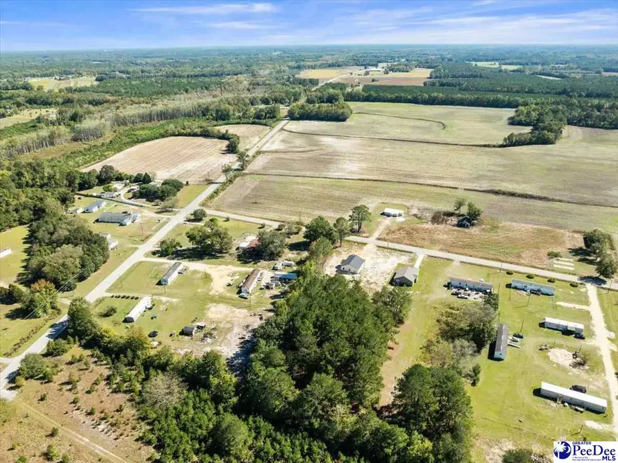 1812 Cooters Crossing Rd, Timmonsville, SC 29161 - #2