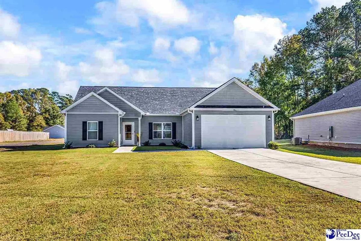 6352 Stagecoach Road, Effingham, SC 29541 - #1