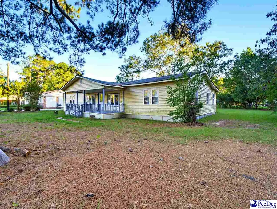 15 Mango St, Andrews, SC 29510 - #3