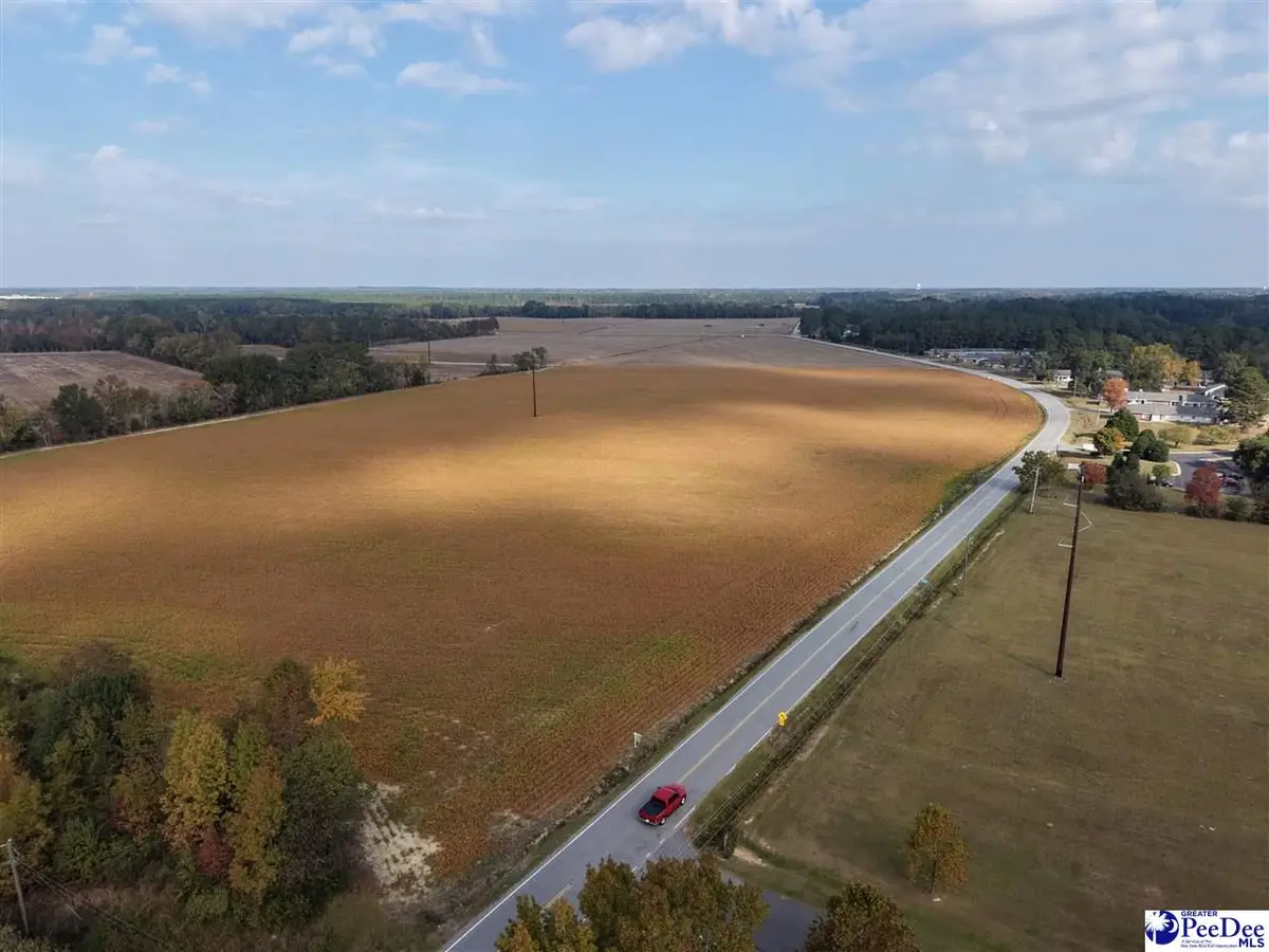 30 Acres S Longstreet, Dillon, SC 29536 - #1