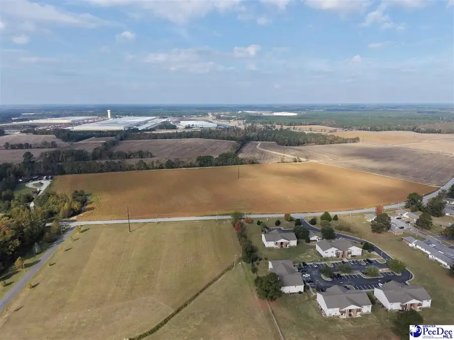 30 Acres S Longstreet, Dillon, SC 29536 - #2
