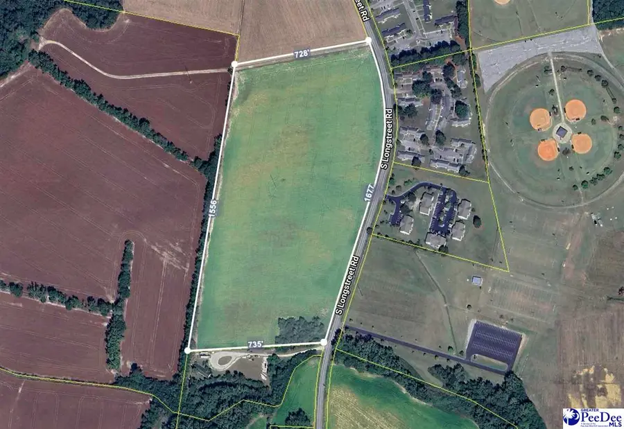 30 Acres S Longstreet, Dillon, SC 29536 - #3