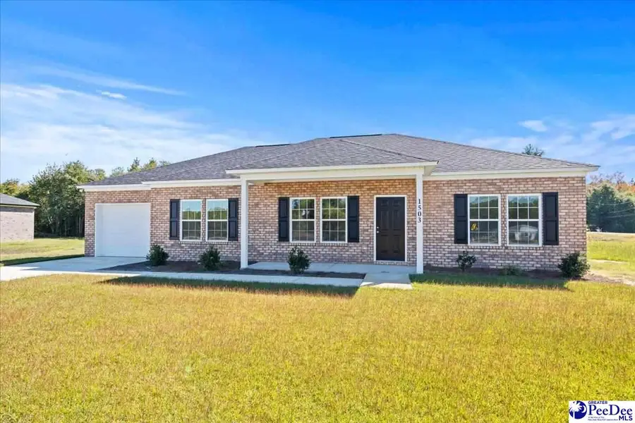 1503 E Home Ave, Hartsville, SC 29550 - #3