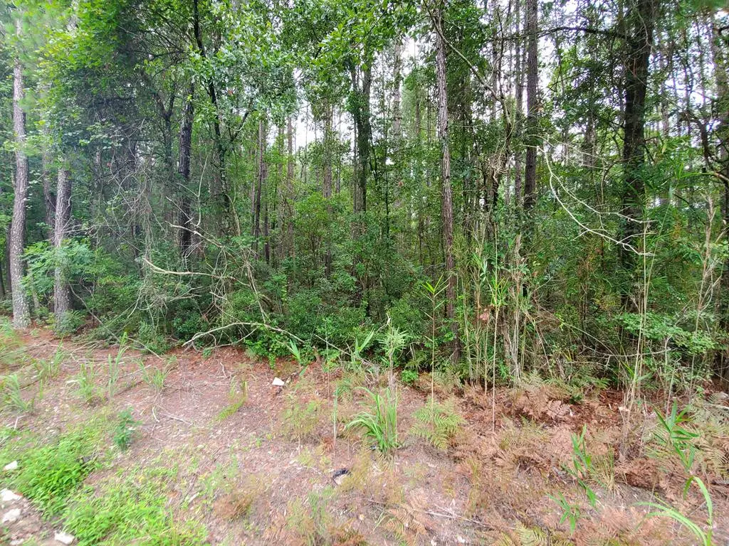 0 2nd Texas Road, Saint George, SC 29477 - #1