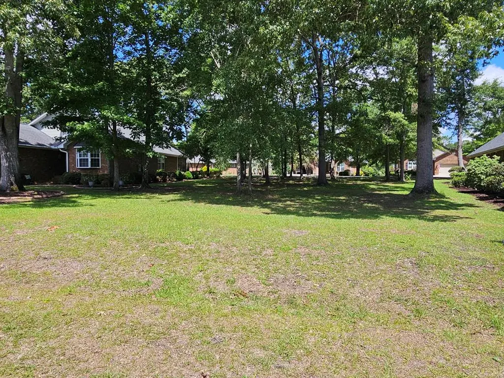 258 Ridge Lake Drive, Manning, SC 29102 - #1