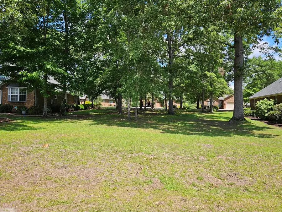 258 Ridge Lake Drive, Manning, SC 29102 - #2