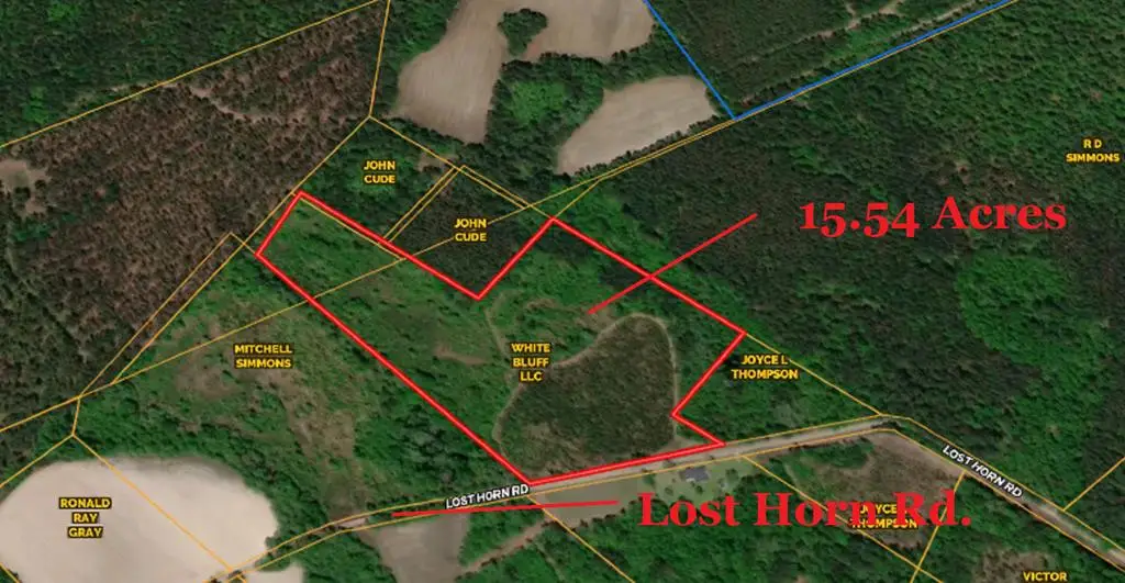 0 Lost Horn Road, Branchville, SC 29432 - #1