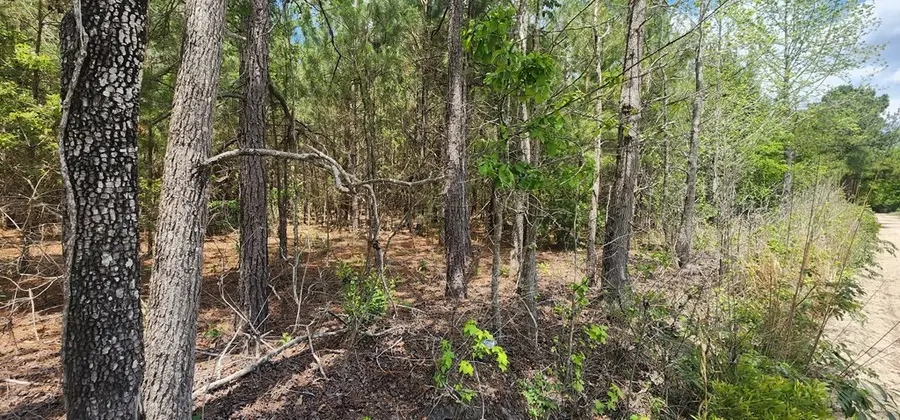 0 Lost Horn Road, Branchville, SC 29432 - #2
