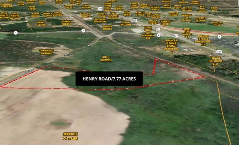 0 Henry Road, Neeses, SC 29107 - #1