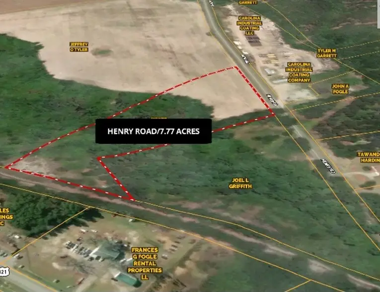 0 Henry Road, Neeses, SC 29107 - #3