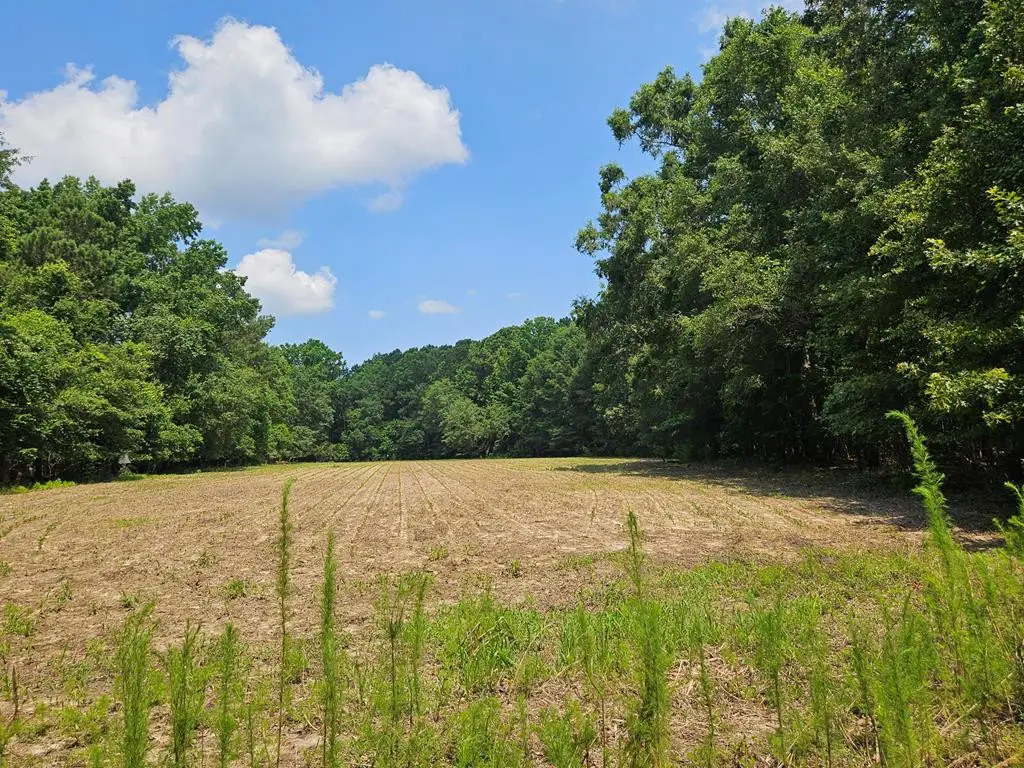 Lot 2a M W Rickenbaker Road, Summerton, SC 29148 - #1