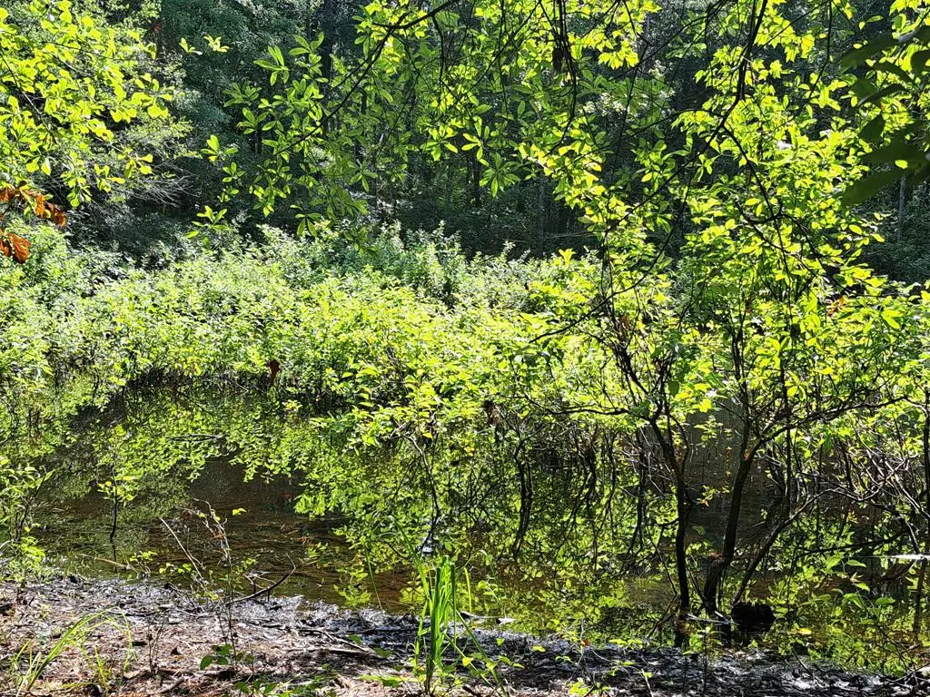 01 Forever Eclipse Lane, Cross, SC 29436 - #1