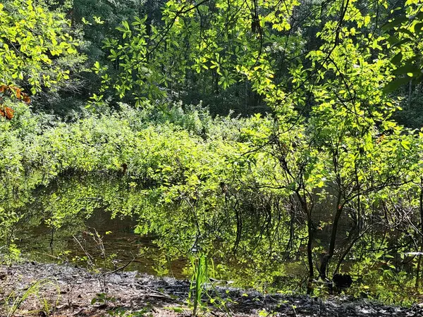 01 Forever Eclipse Lane, Cross, SC 29436