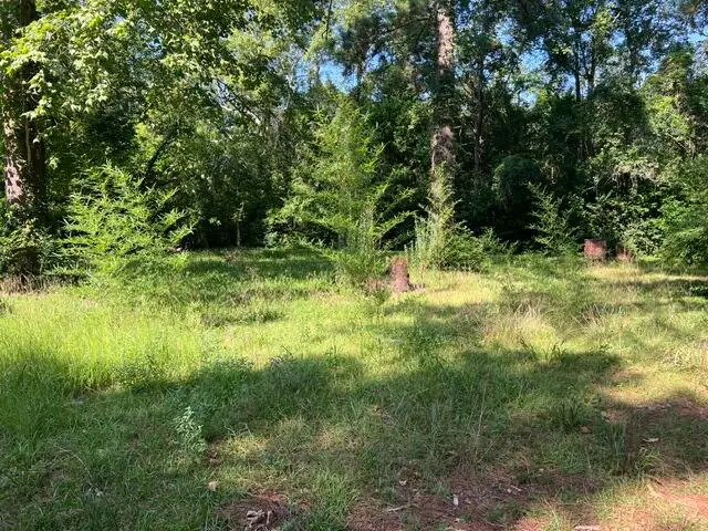 1236 Furman Drive, Sumter, SC 29154 - #3