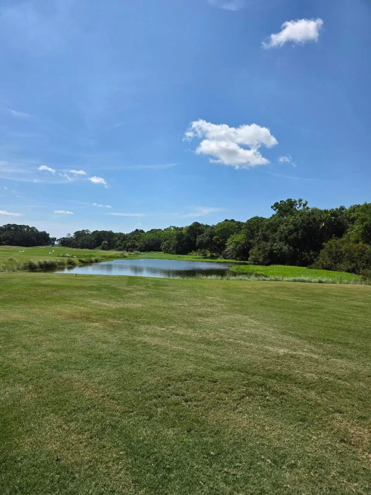 22 Stony Island Drive, Beaufort, SC 29907 - Image #1