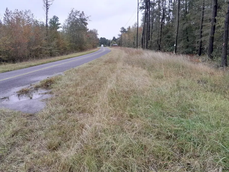 0 E Horizon Street E #Tract "b", Eutawville, SC 29048 - Image #2