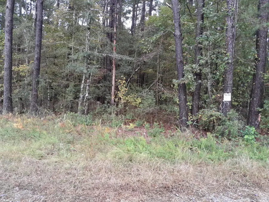 0 E Horizon Street E #Tract "b", Eutawville, SC 29048 - Image #3