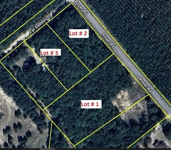 Lots 1,2,3 Royer Road, Bishopville, SC 29010 - Image #1