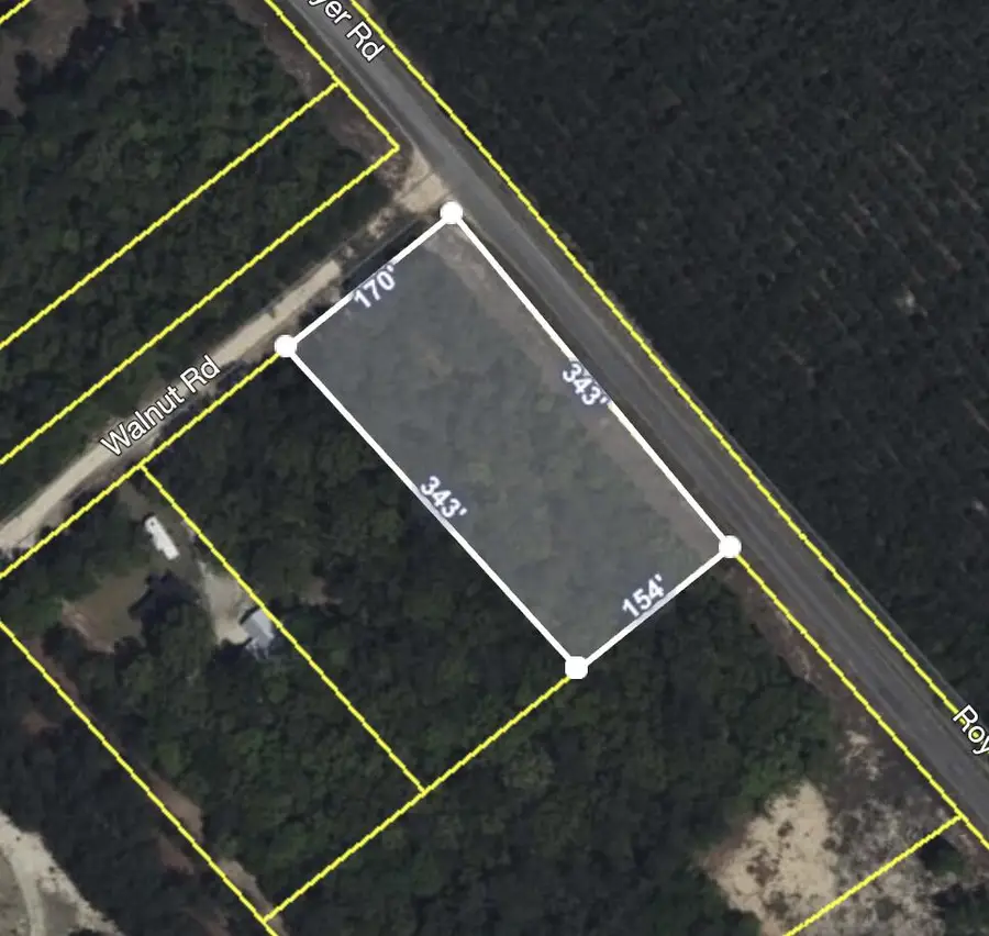 Lots 1,2,3 Royer Road, Bishopville, SC 29010 - Image #3