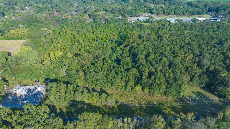 0 S Locust Avenue S, Denmark, SC 29042 - Image #3